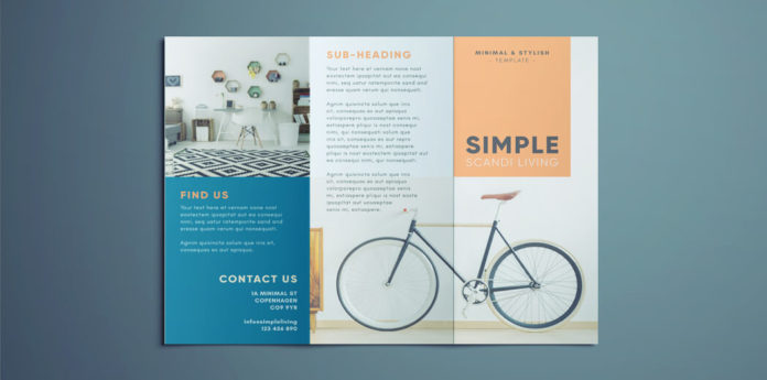 Tri Fold Brochure Template Free from indesignskills.com